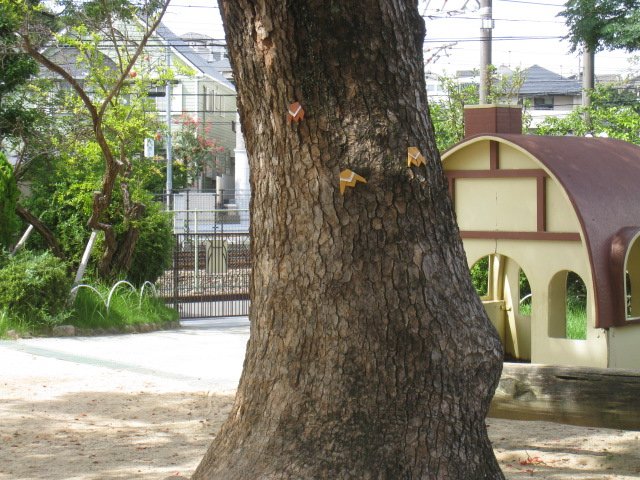 IMG_6916.JPG