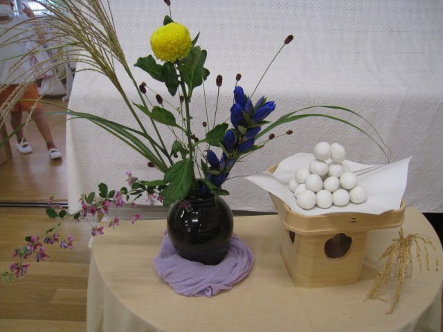 IMG_6924.JPG
