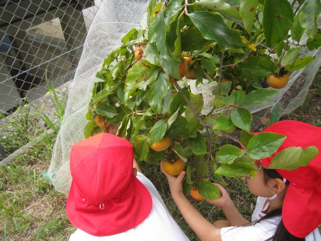 IMG_7175.JPG