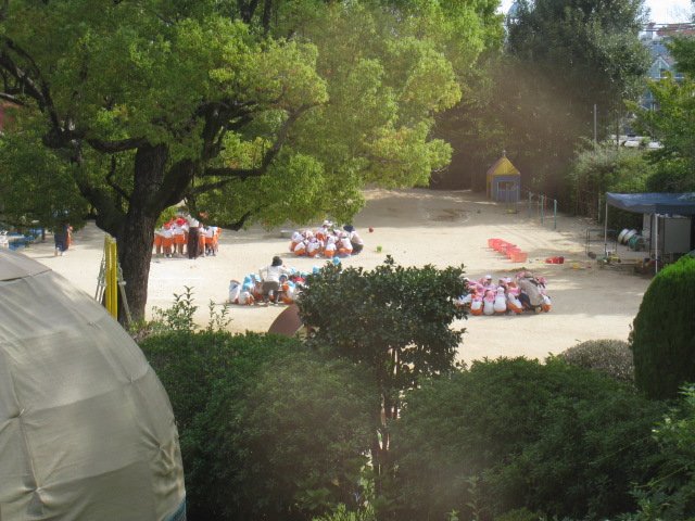 IMG_7204.JPG